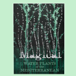 Founder Fundamentals